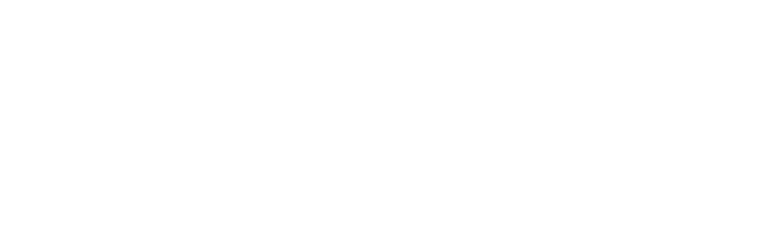 Synplan_white